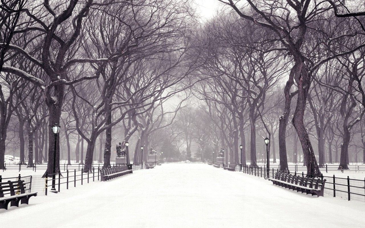 City Winter Free PPT Background for your PowerPoint