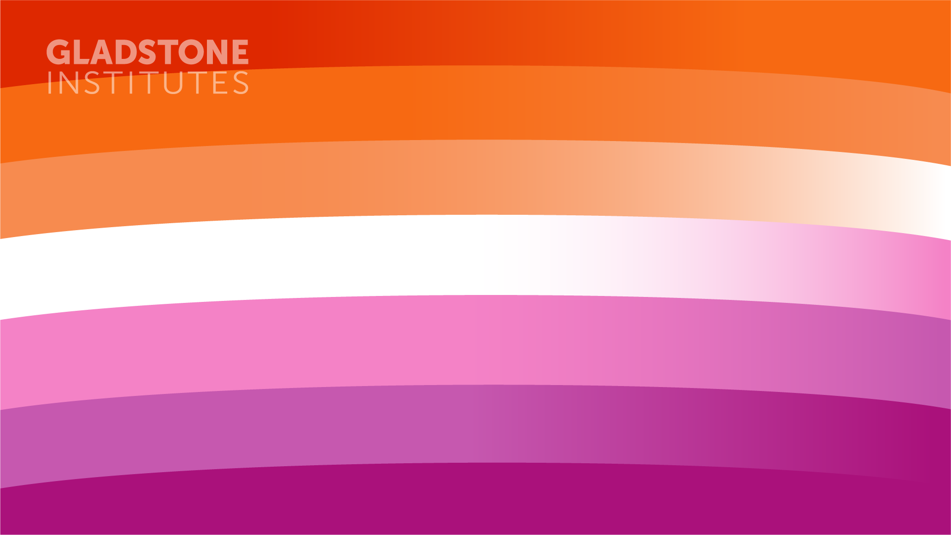 Pride Zoom Background