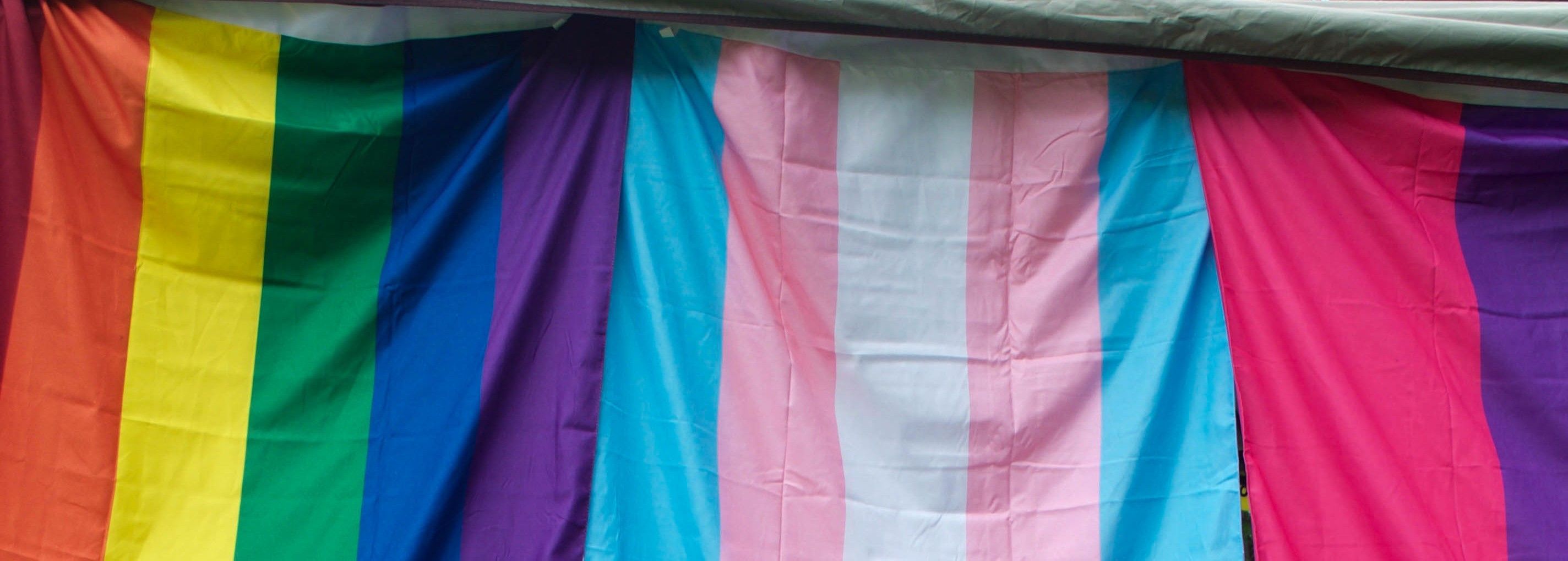 Reclaim, Who We Are, Queer and Trans 101