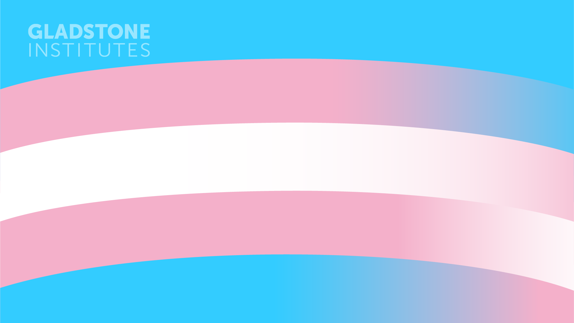 Pride Zoom Background