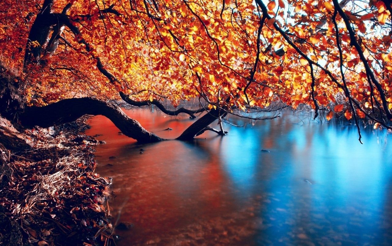 Autumn Sea Wallpapers - Wallpaper Cave