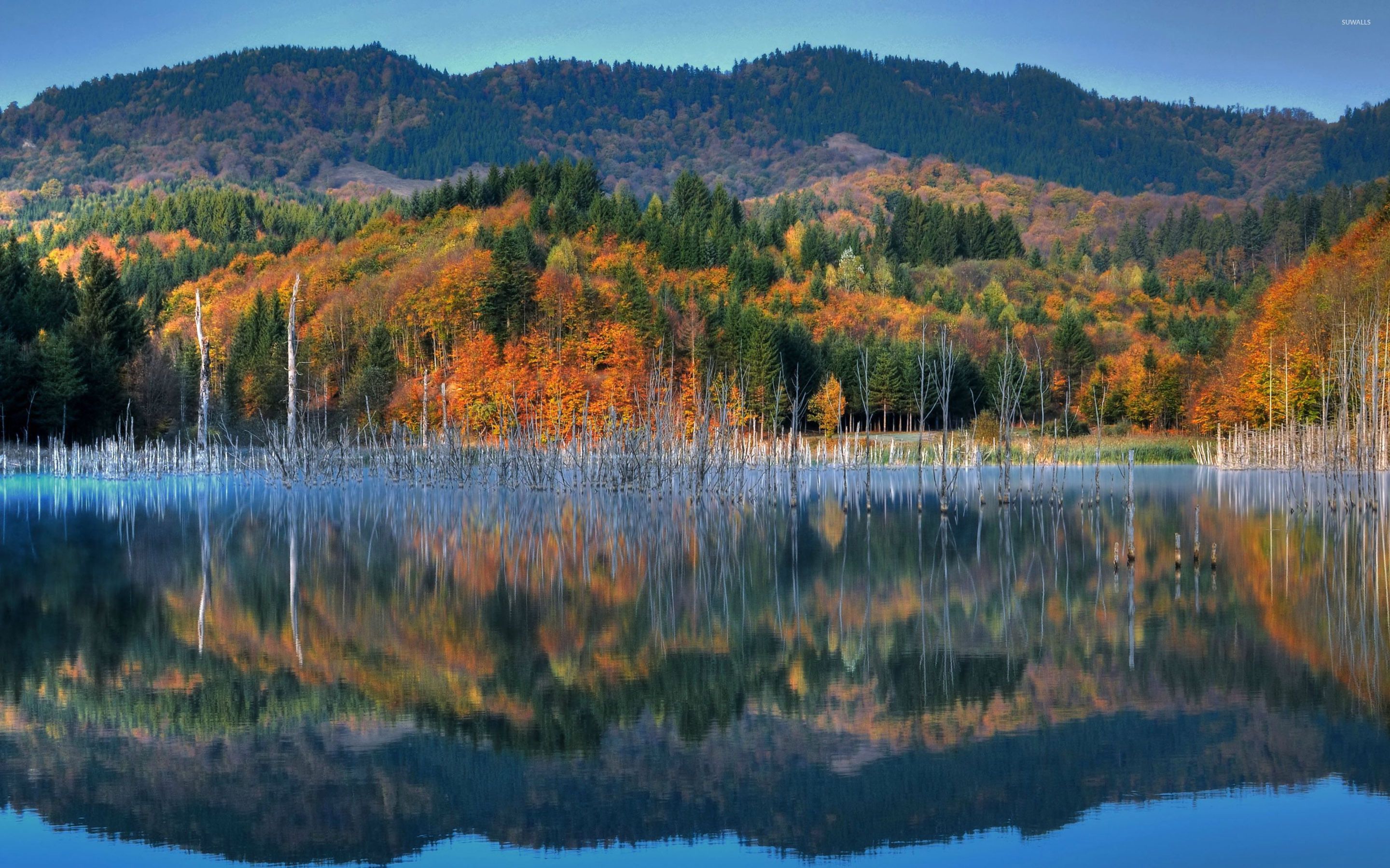 Perfect reflection of the autumn mountain wallpaper wallpaper