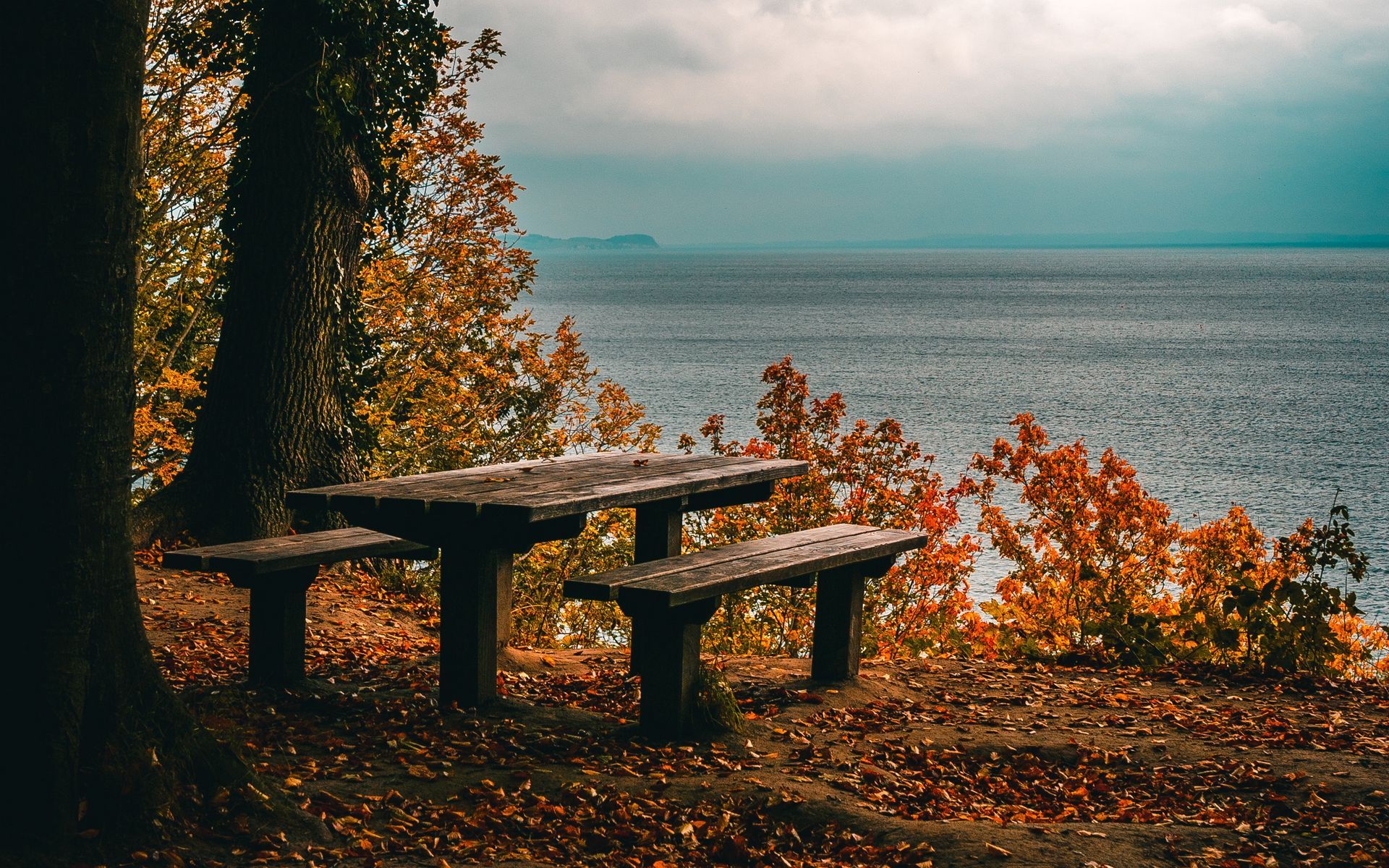 Download wallpaper 1920x1200 autumn, benches, table, sea, shore, trees, foliage widescreen 16:10 HD background