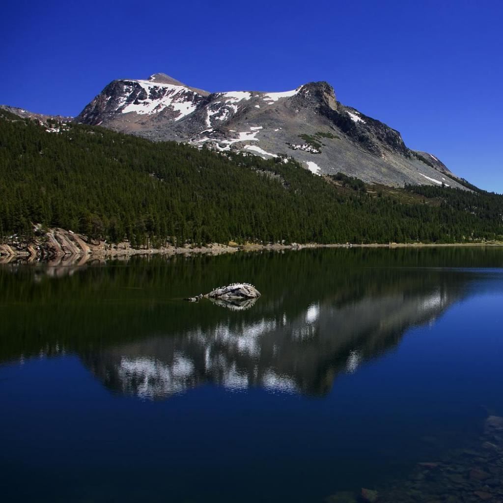 PERFECT REFLECTION MEANING visual data 8