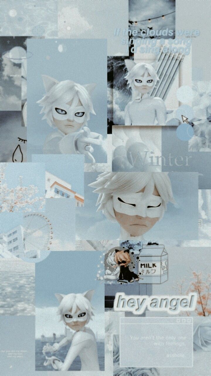 Cat noir or cat blanc aesthetic wallpaper. Miraculous ladybug movie, Miraculous ladybug comic, Miraculous ladybug anime