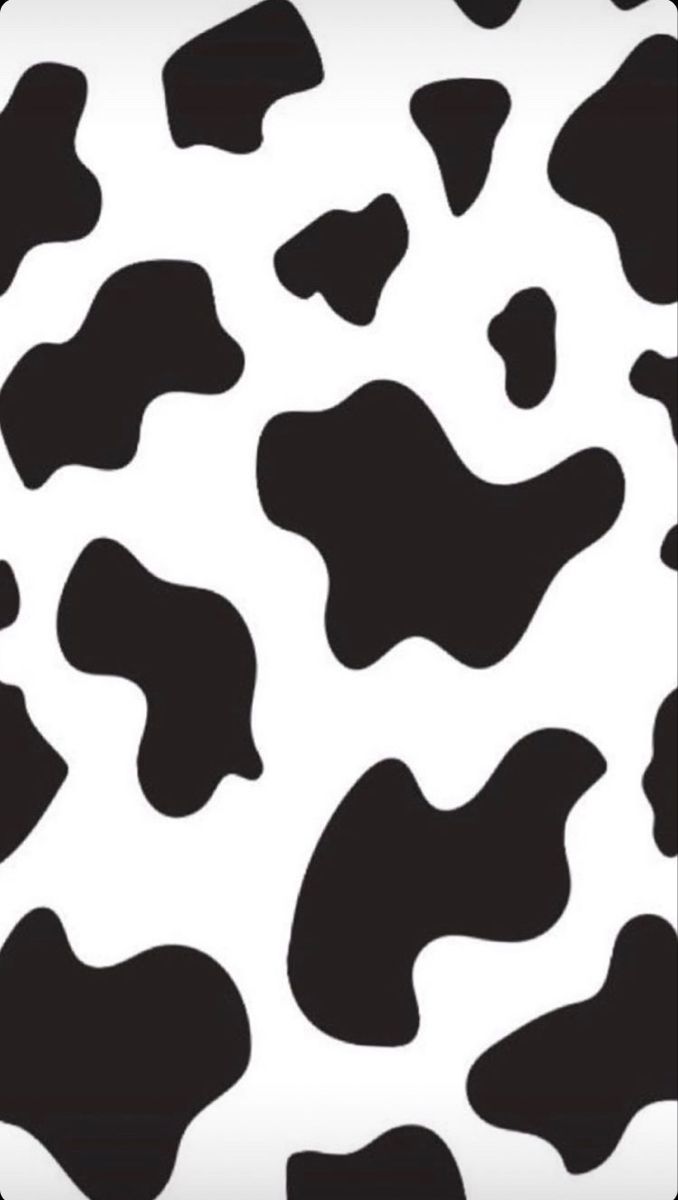 Cow print wallpaper, Cow wallpaper, Animal print wallpaper
