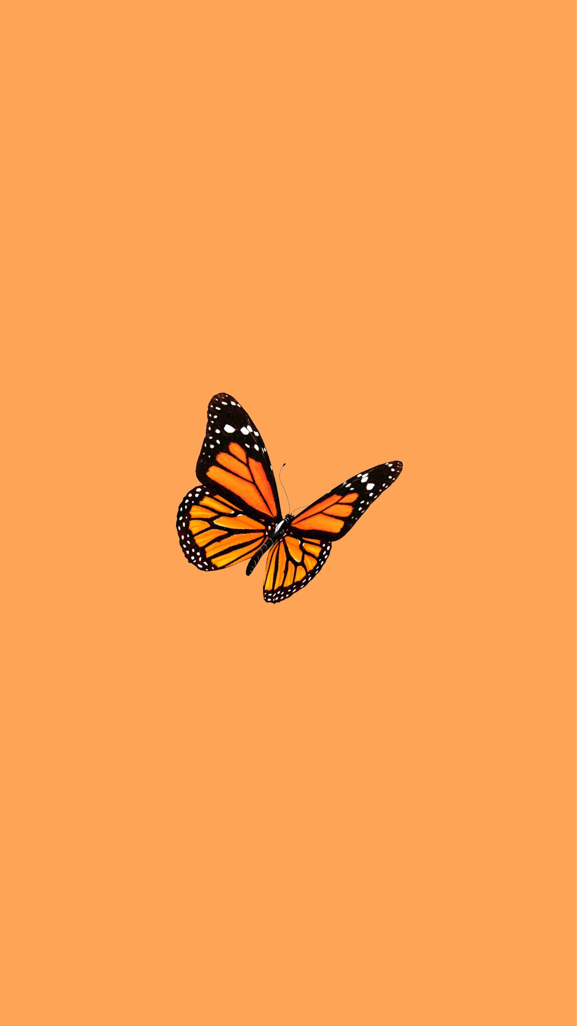 butterfly wallpaper. Butterfly wallpaper iphone, Butterfly wallpaper, Orange wallpaper