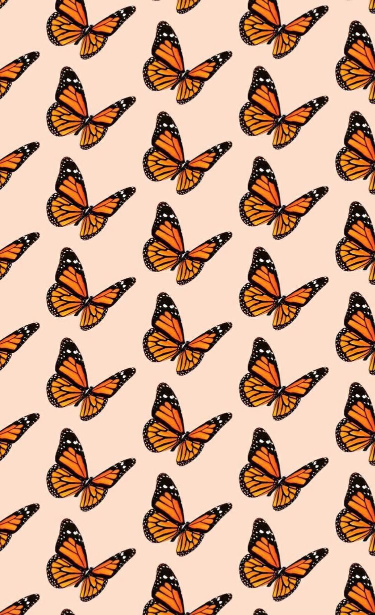 ✰P I N T E R E S T :. Butterfly wallpaper, Aesthetic wallpaper, Picture collage wall