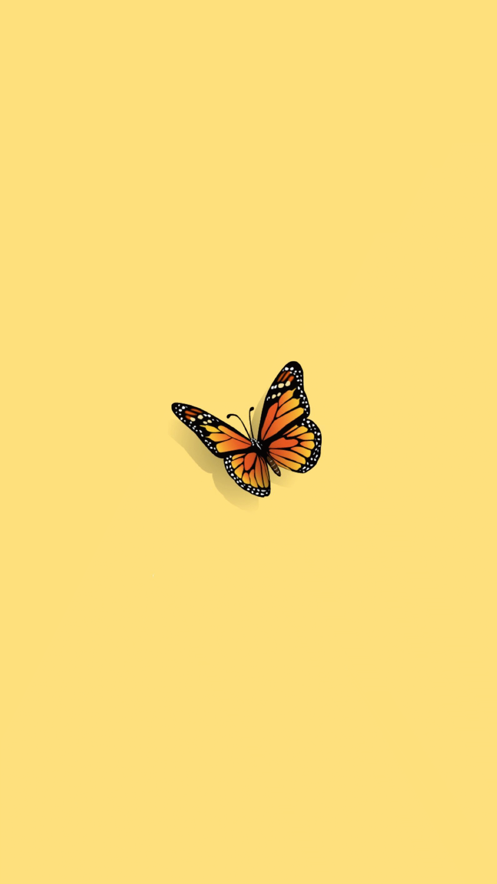 Featured image of post Aesthetic Gif Wallpaper Butterfly