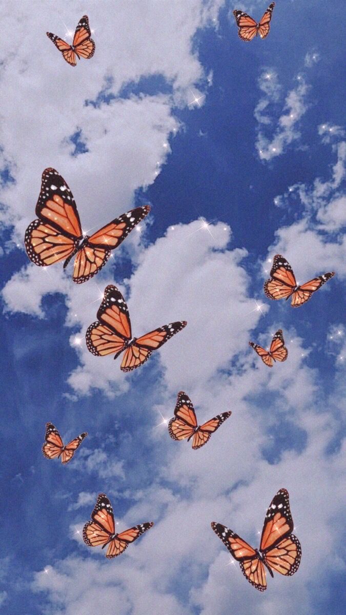 aestheticwallpaper #butterfly #aesthetic #sky #wallpaper. Butterfly wallpaper iphone, Butterfly wallpaper, Trippy wallpaper