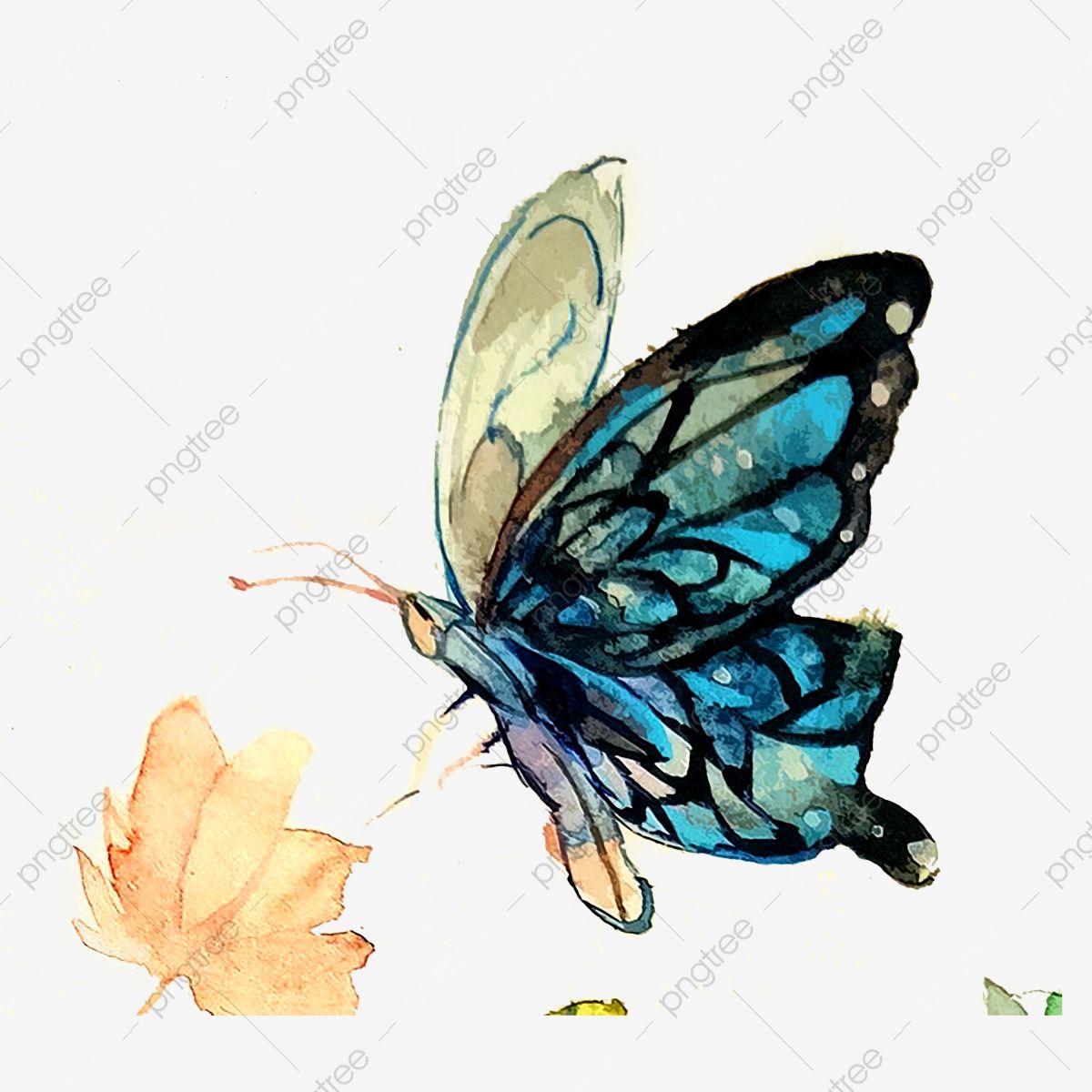 Butterfly Wings Transparent Blue Aesthetic Png, Watercolor, Ink Butterfly, Colorful PNG Transparent Clipart Image and PSD File for Free Download