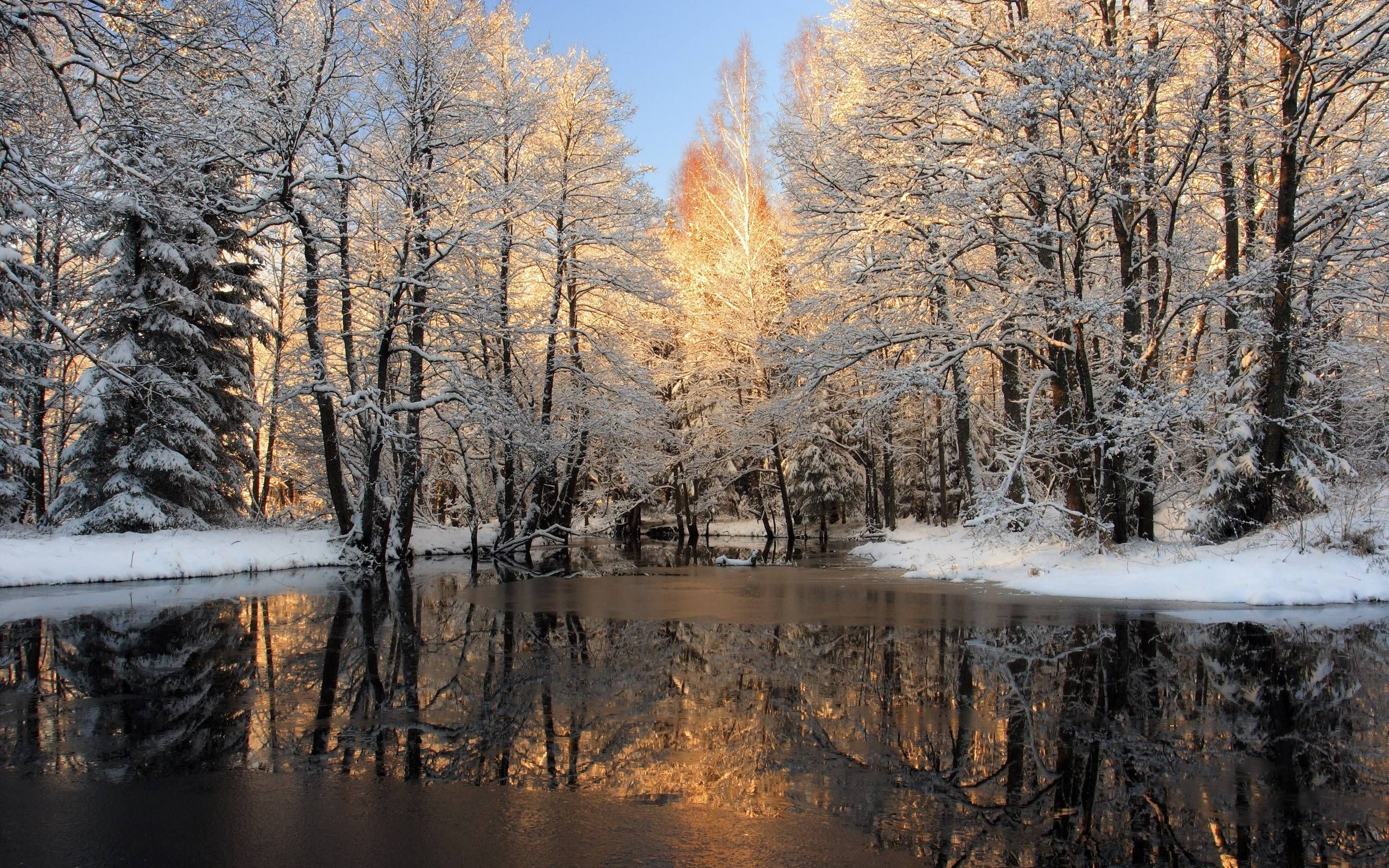 Winter Nature Wallpaper Background with HD Wallpaper.com. Winter wallpaper, Winter photography, Winter scenes