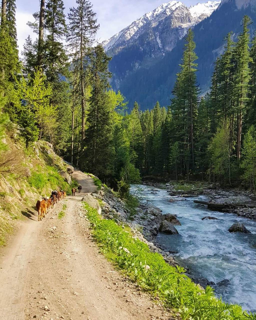 Naran Wallpapers Wallpaper Cave