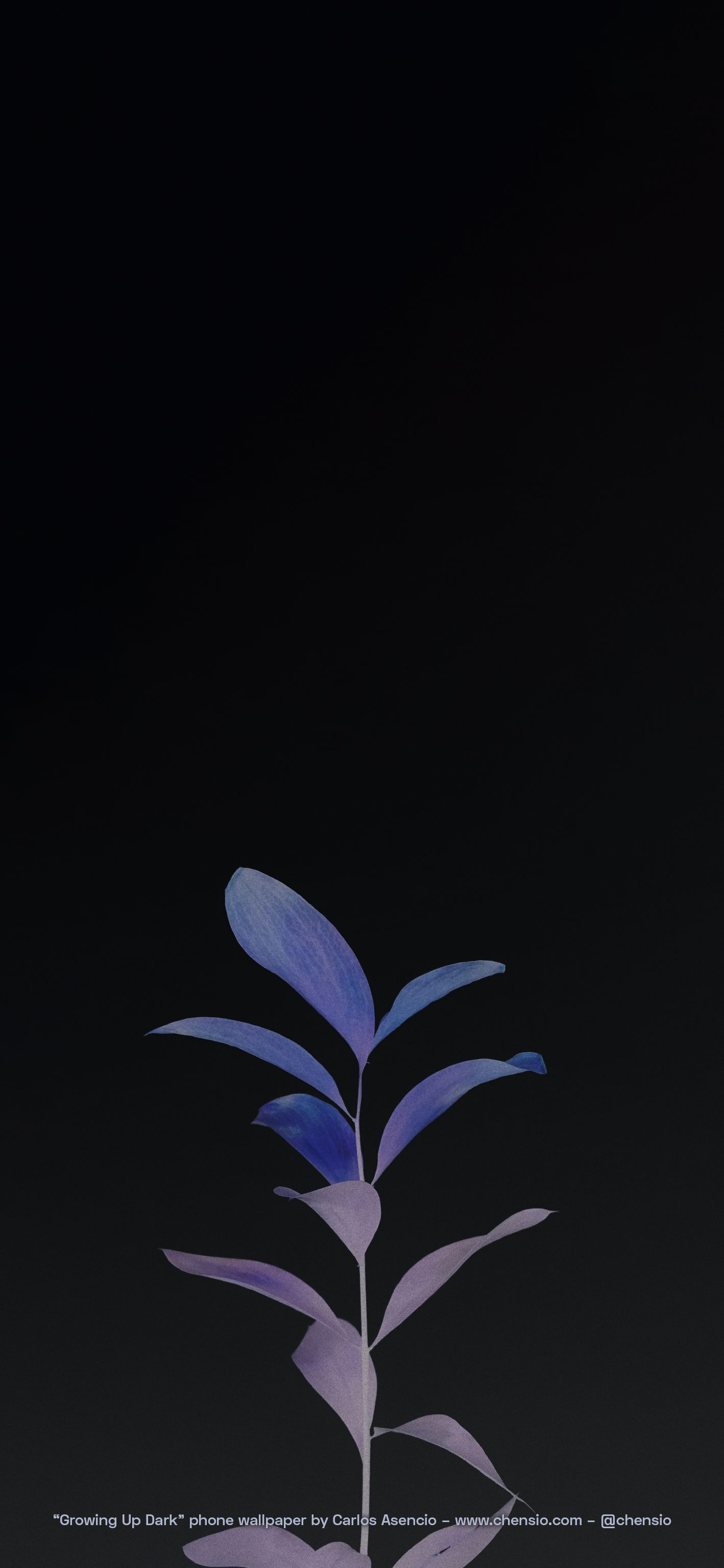 dark minimalist wallpaper phone
