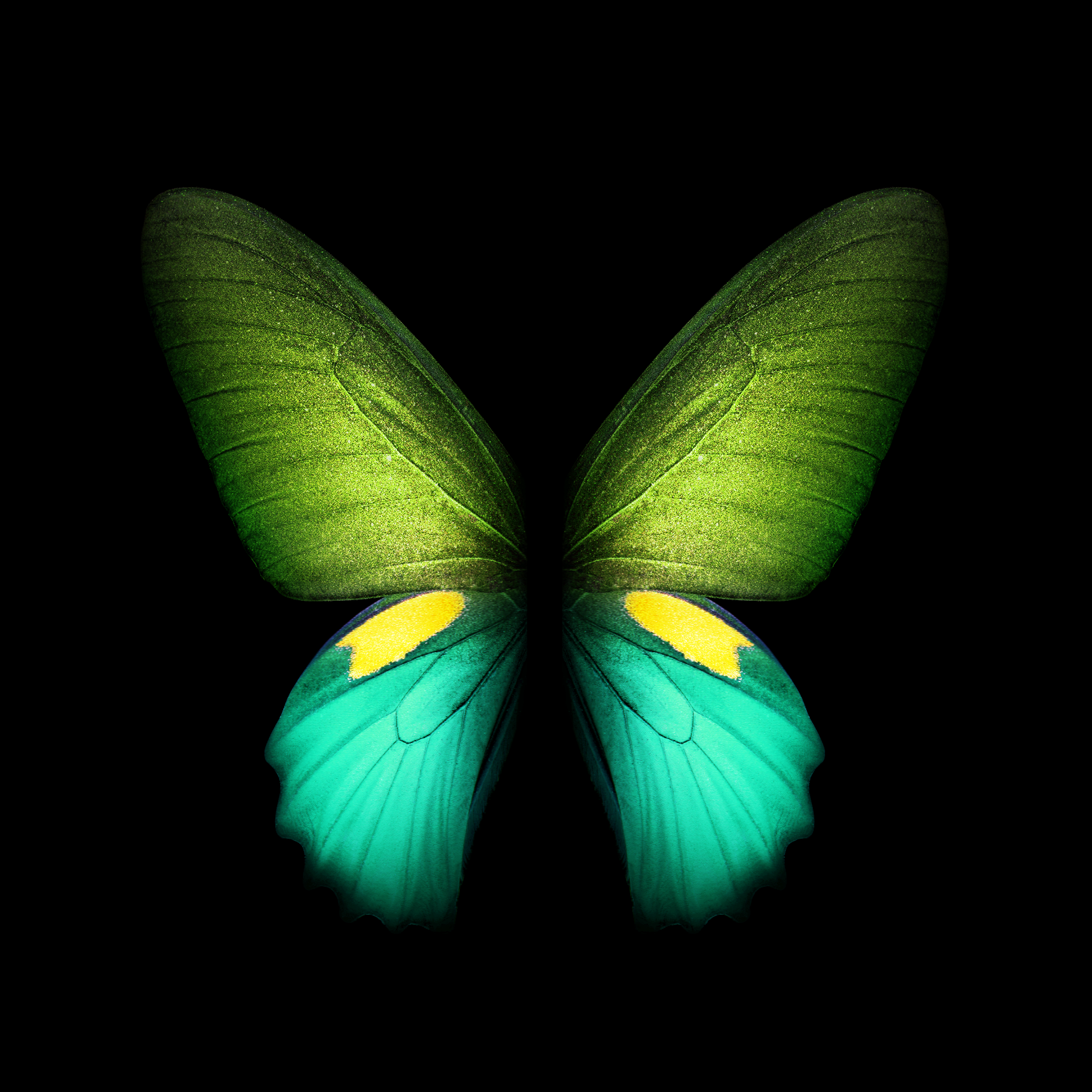 Download Samsung Galaxy Fold wallpaper in full resolution right here