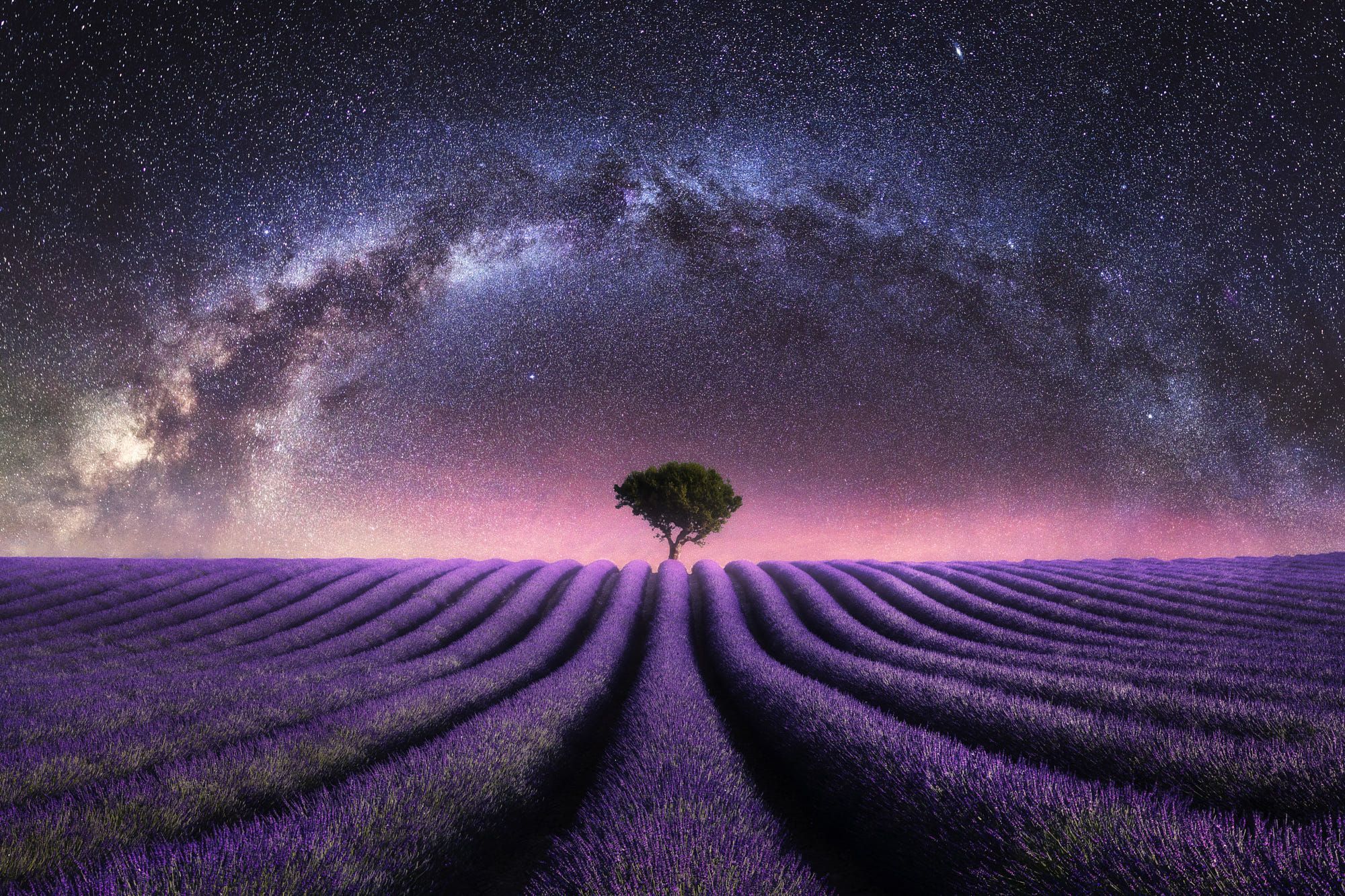 Starry sky over lavender field (Valensole, France) by Mads Peter Iversen on 500px [composite photo]. Cool landscapes, Milky way, Night art