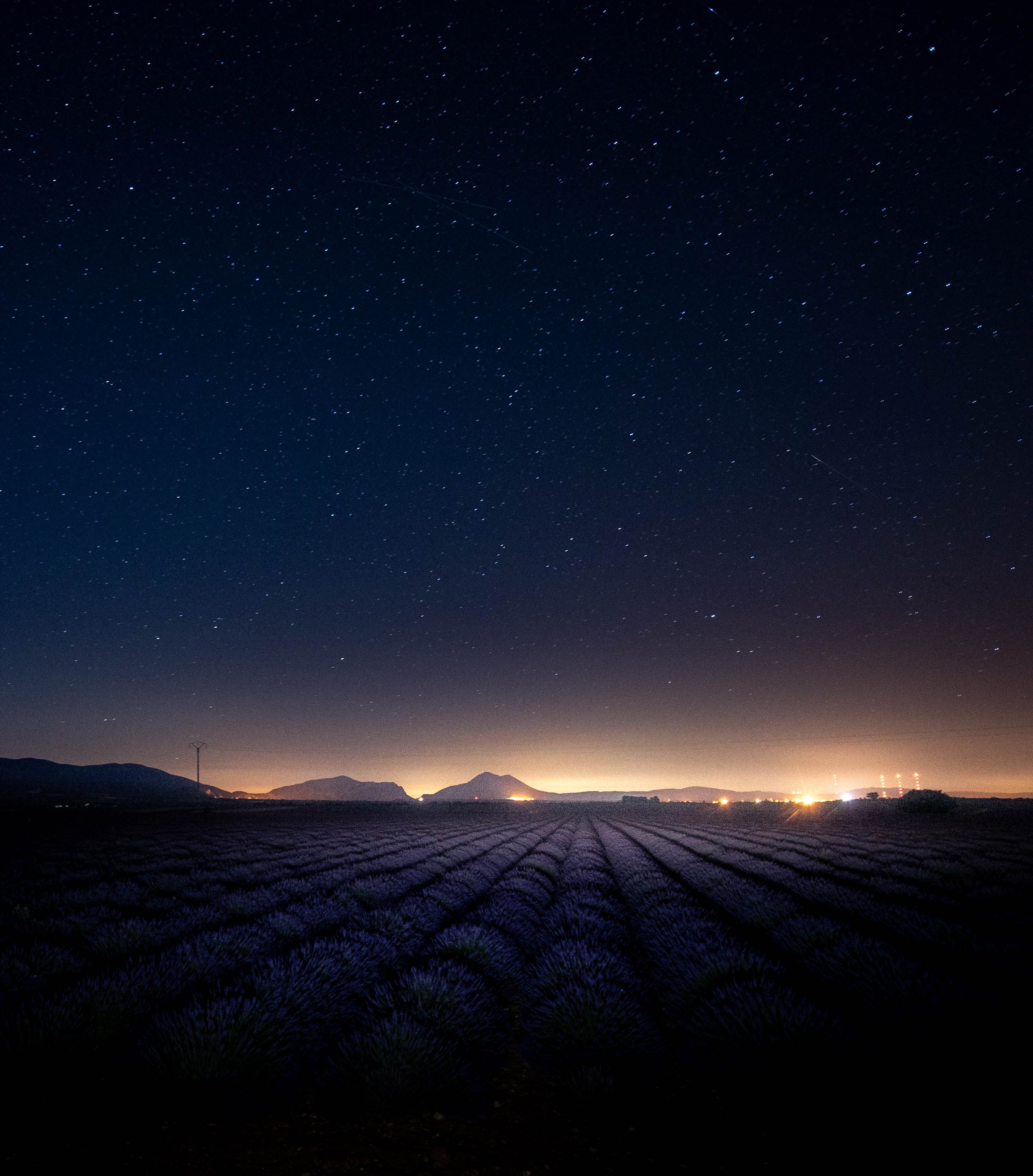 Photo of Starry Night Sky Over Lavender Field · Free