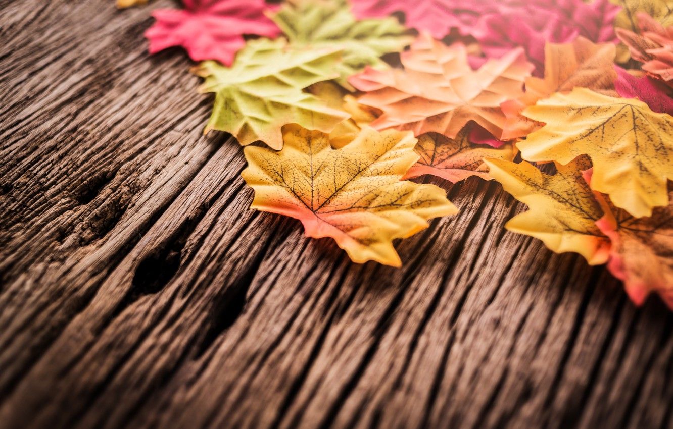 Wallpaper autumn, leaves, background, tree, wood, background, autumn, leaves, autumn, maple image for desktop, section текстуры