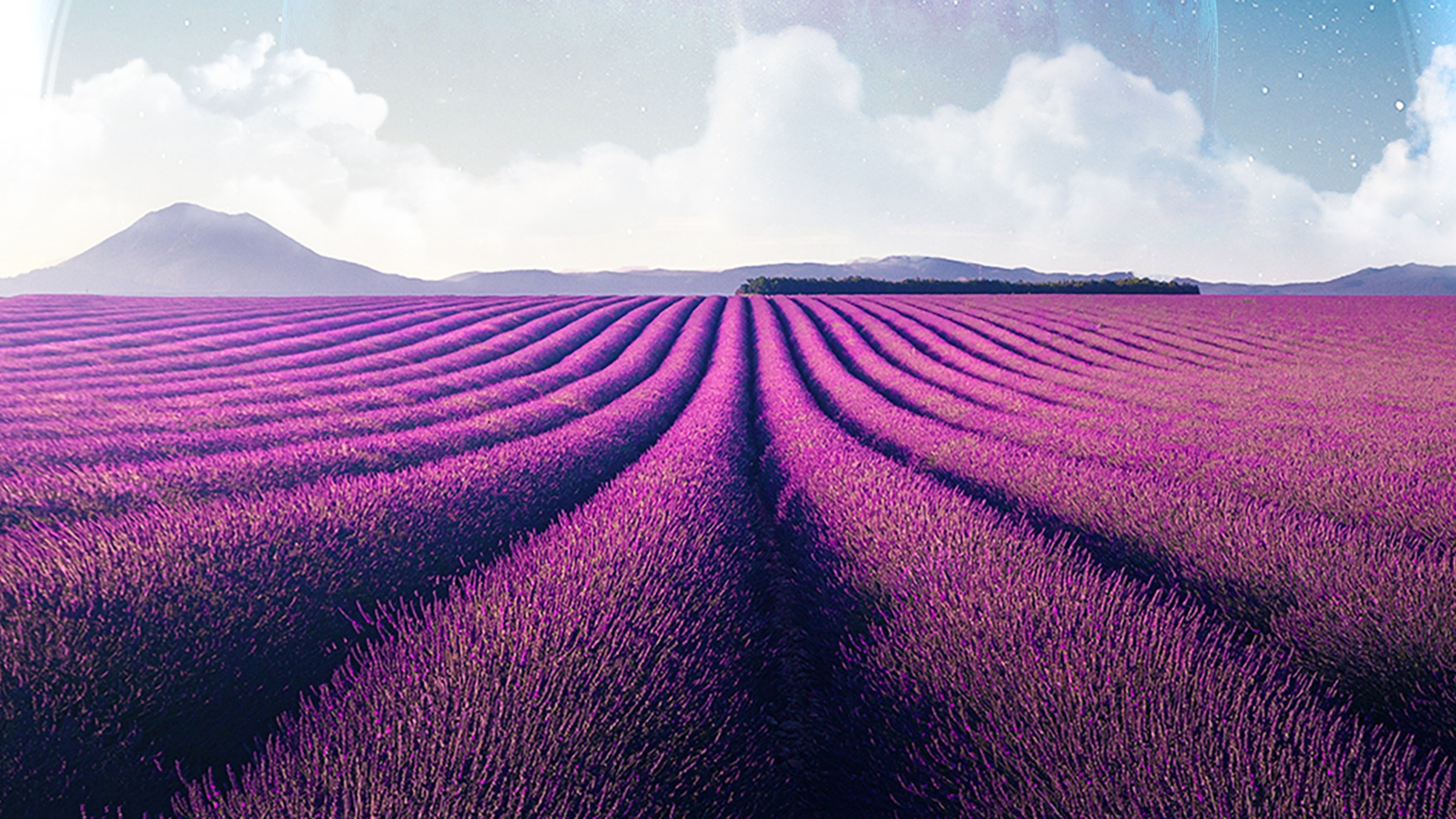 Lavender fields 4K Wallpaper, Lavender farm, Landscape, Planet, Surreal, Nature