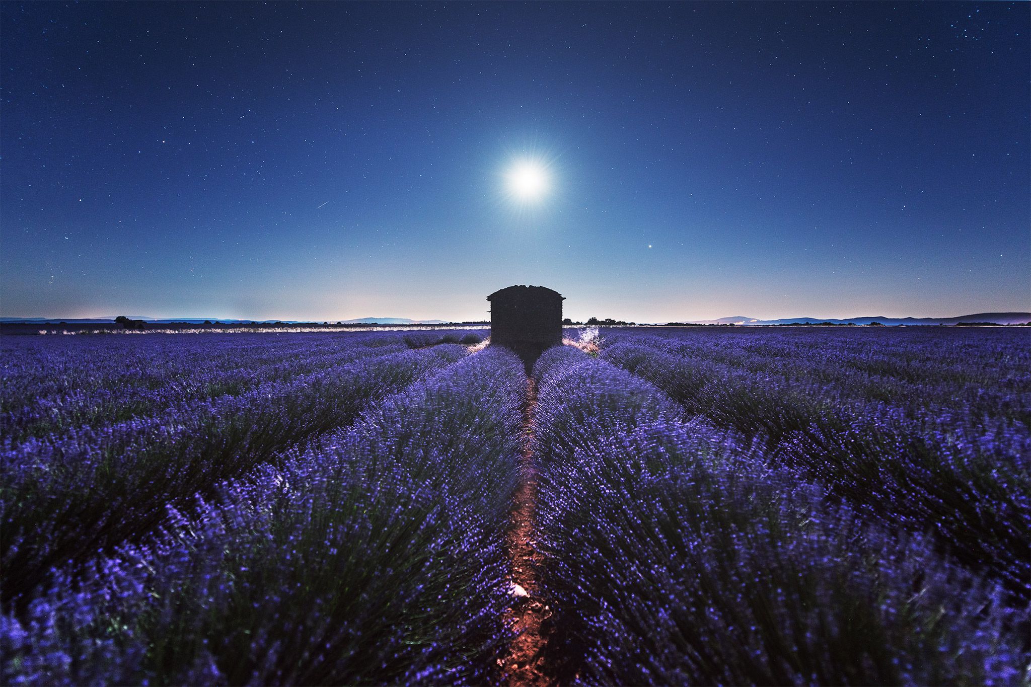 Ultimate Photography Guide to the Lavender Fields of Prov