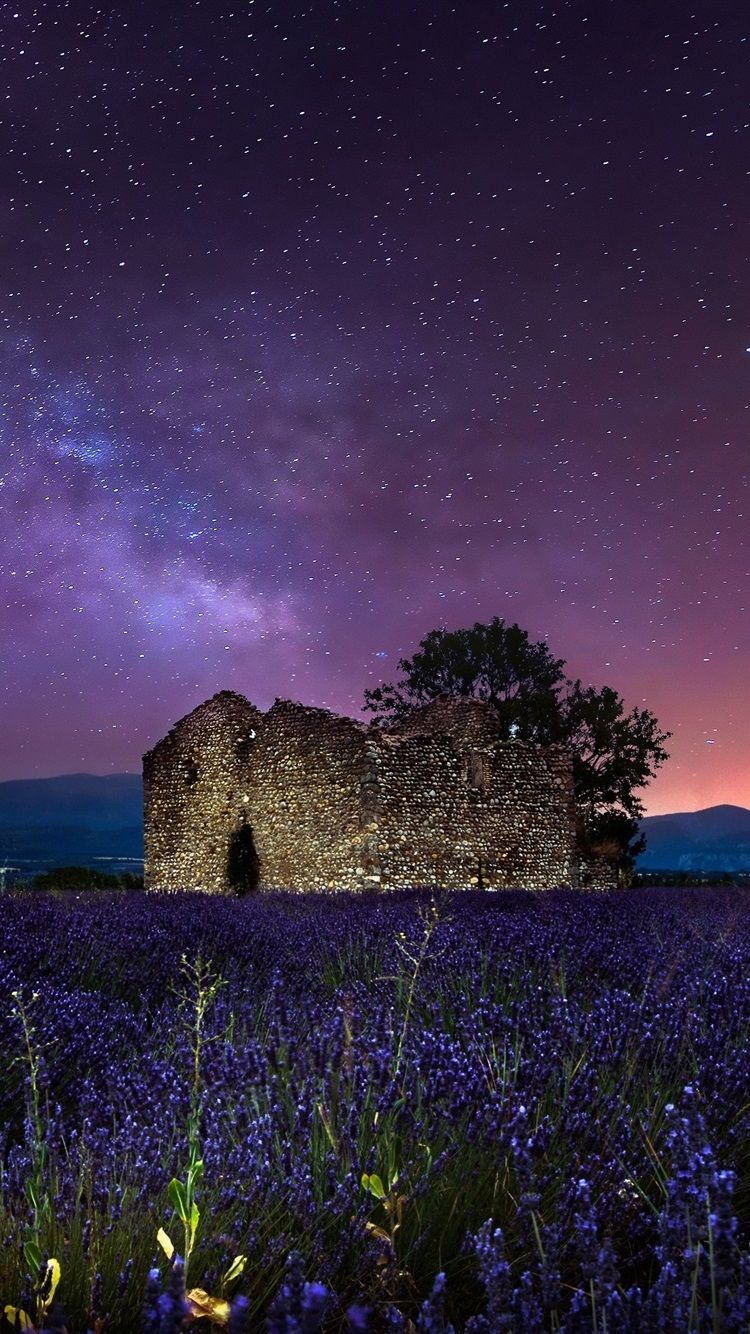 Night, Starry, Stars, Lavender Flowers, Stones House 750x1334 IPhone 8 7 6 6S Wallpaper, Background, Picture, Image