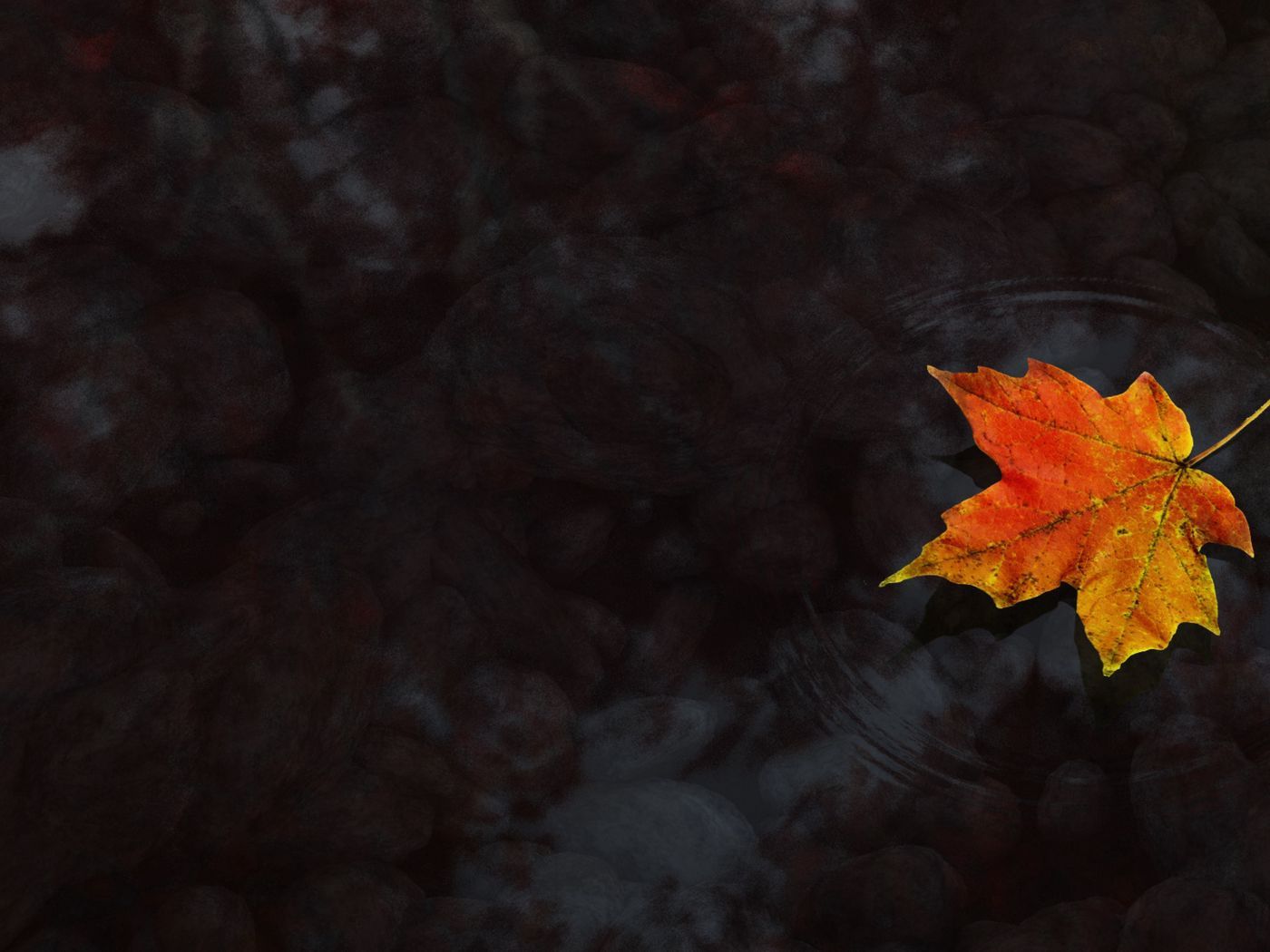 Download wallpaper 1400x1050 water, maple leaf, autumn, maple standard 4:3 HD background