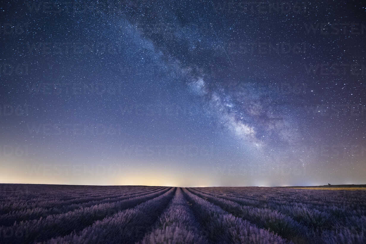 France, Provence, Lavender Fields With Milky Way At Night Elena Pueyo Ruiz Westend61