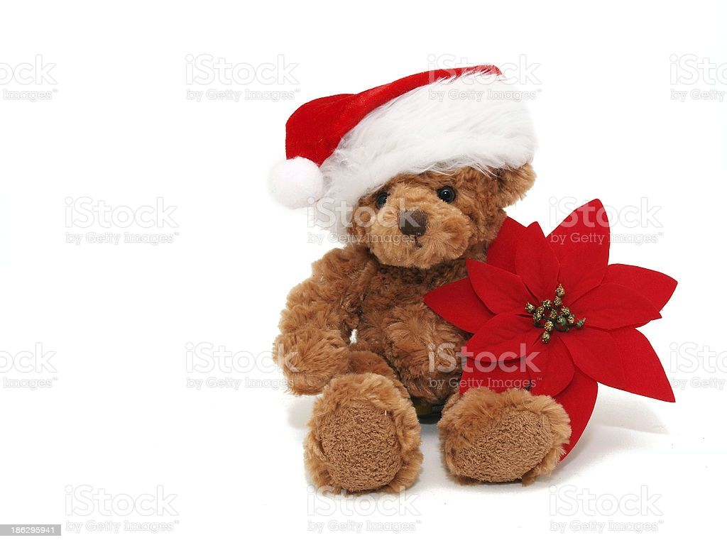 Christmas Teddy Bear Image Now