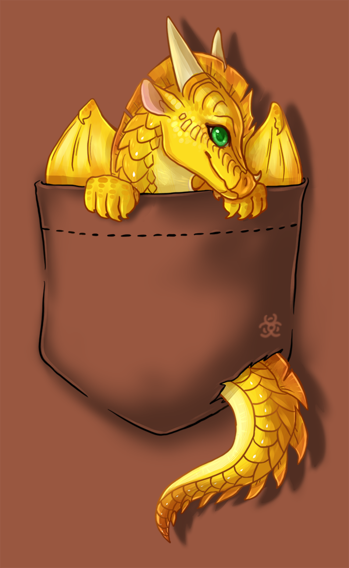 Wings of Fire Sunny T Shirt Design
