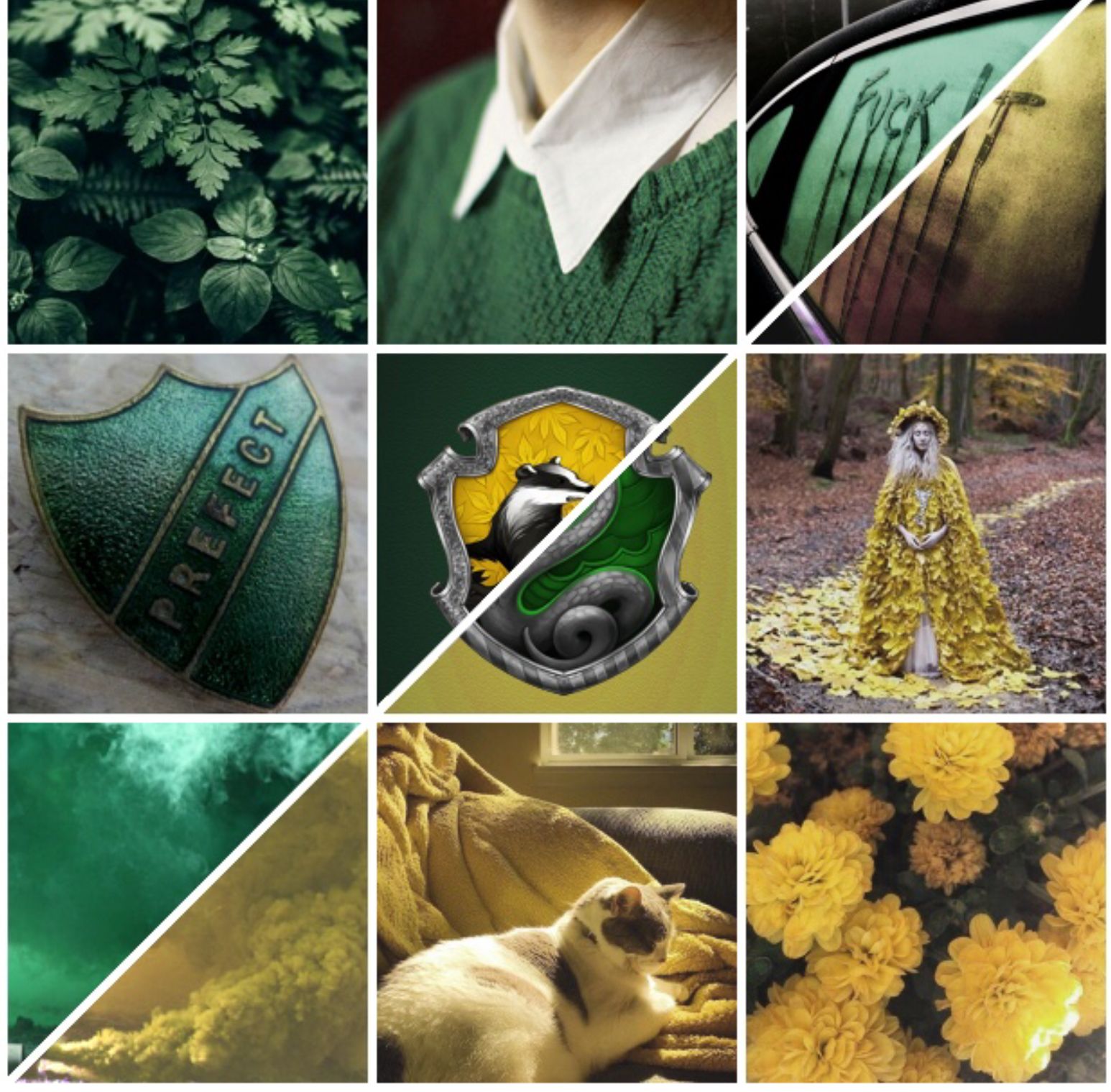 Slytherpuff aesthetic. Harry potter wallpaper, Slytherin and hufflepuff, Harry potter memes