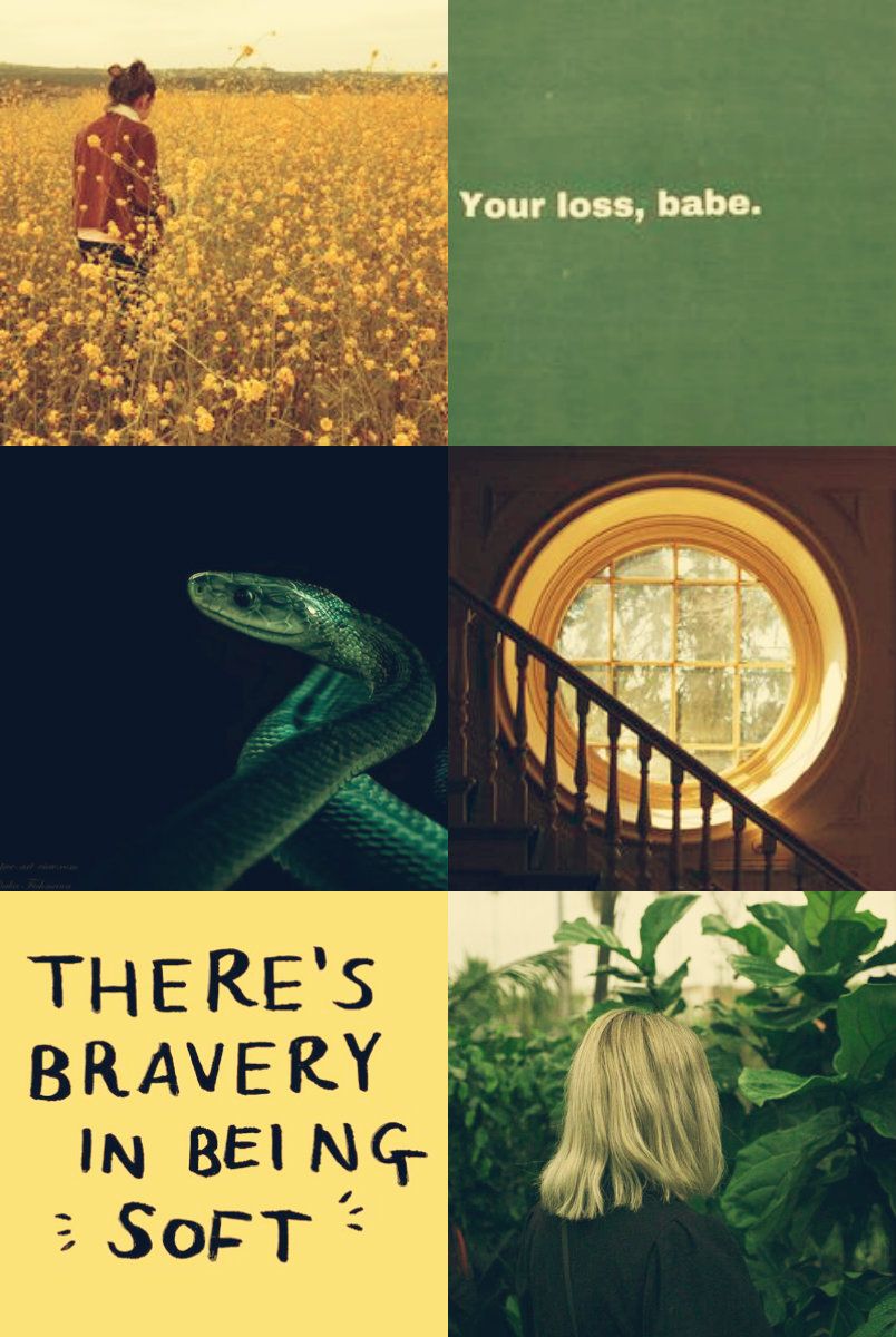 Slytherin, hufflepuff, slytherpuff aesthetic. Slytherin and hufflepuff, Slytherin aesthetic, Harry potter