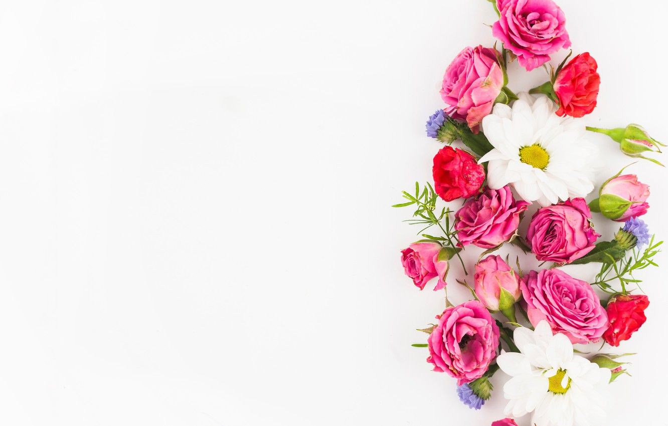 Wallpaper white, flowers, background, roses, bouquet, flowers image for desktop, section цветы