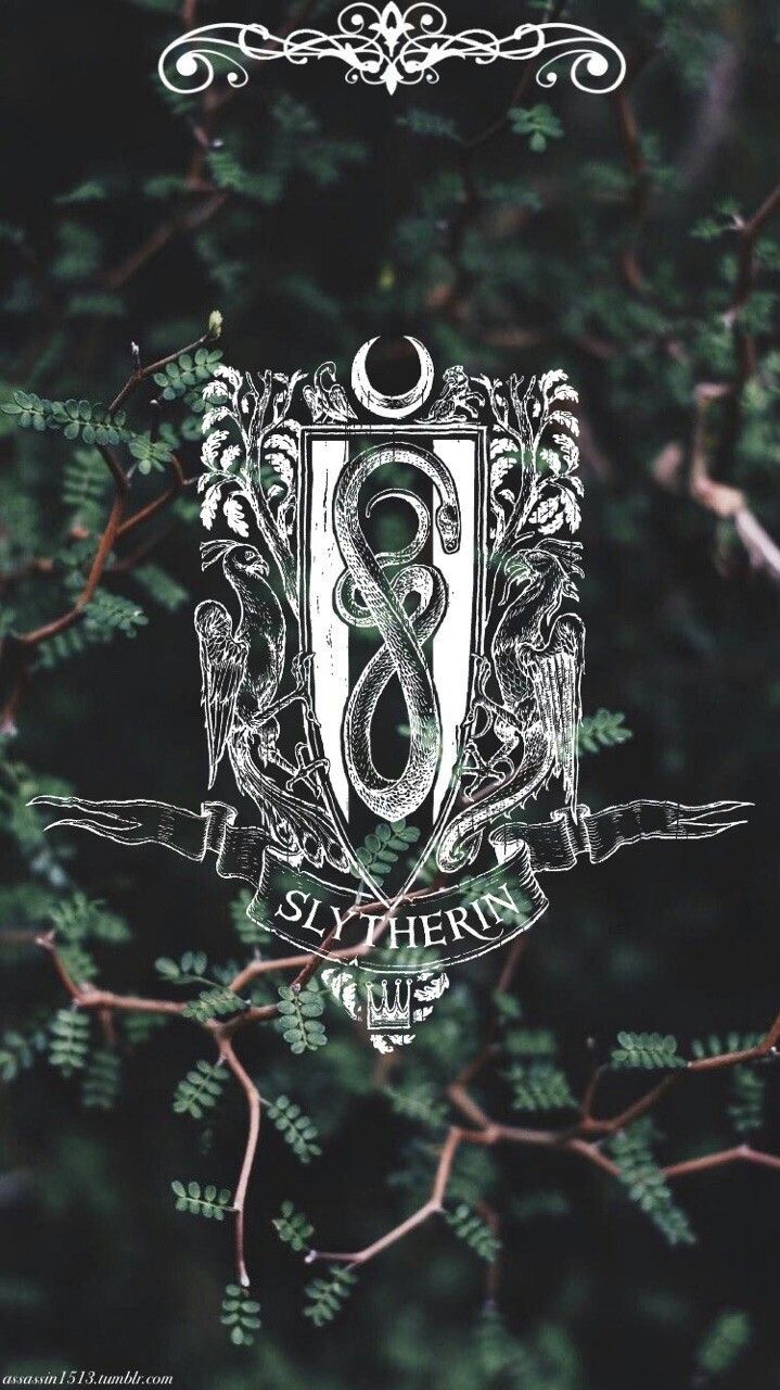 Image about green in Slytherin Aesthetics