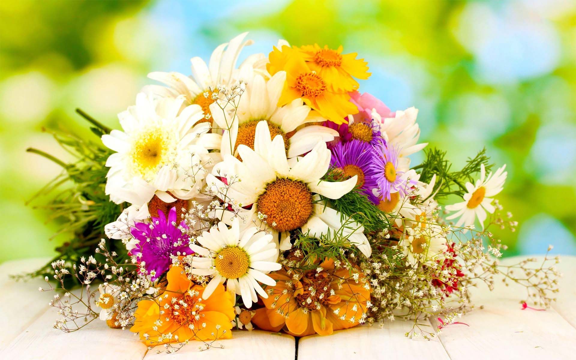 Wild Flower Bouquet. HD Flowers Wallpaper for Mobile and Desktop