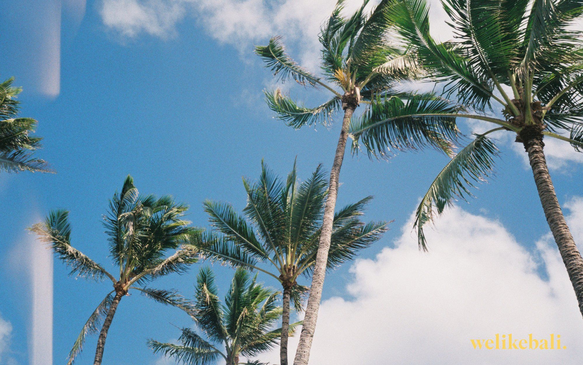 Free desktop & iphone wallpaper