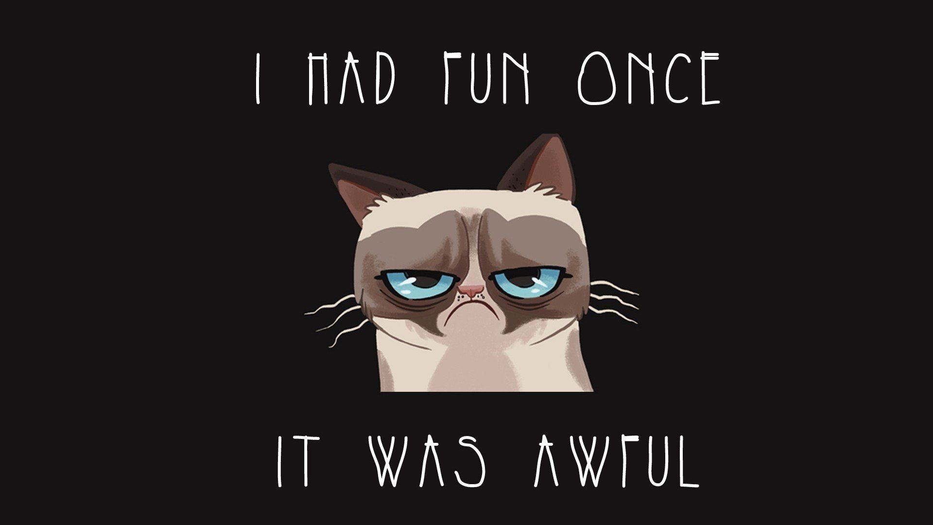 Grumpy Cat Meme Wallpaper