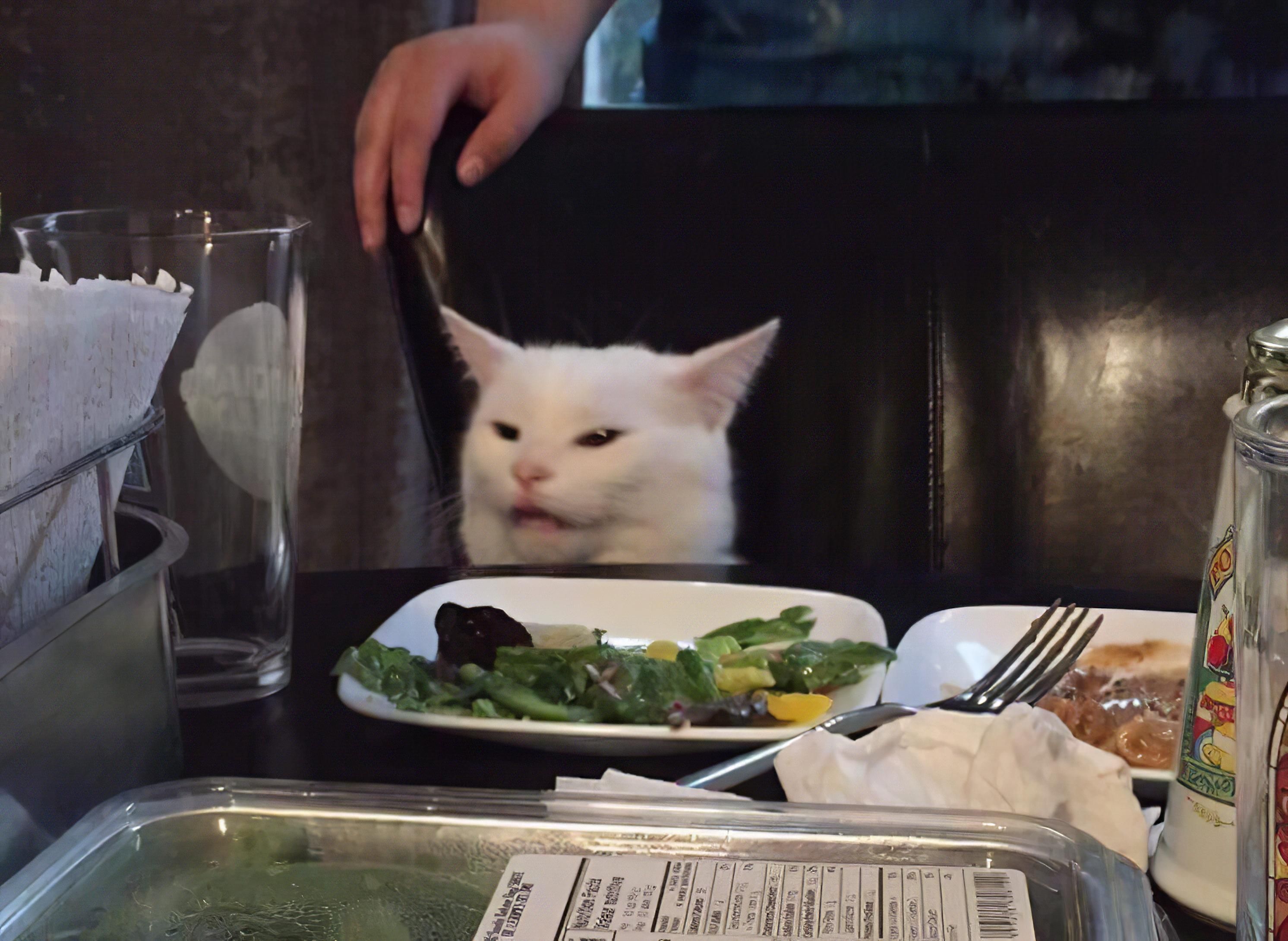 Woman Yelling at a Cat HD meme upscale. Woman Yelling at a Cat. Cat memes, Cats, White cat meme