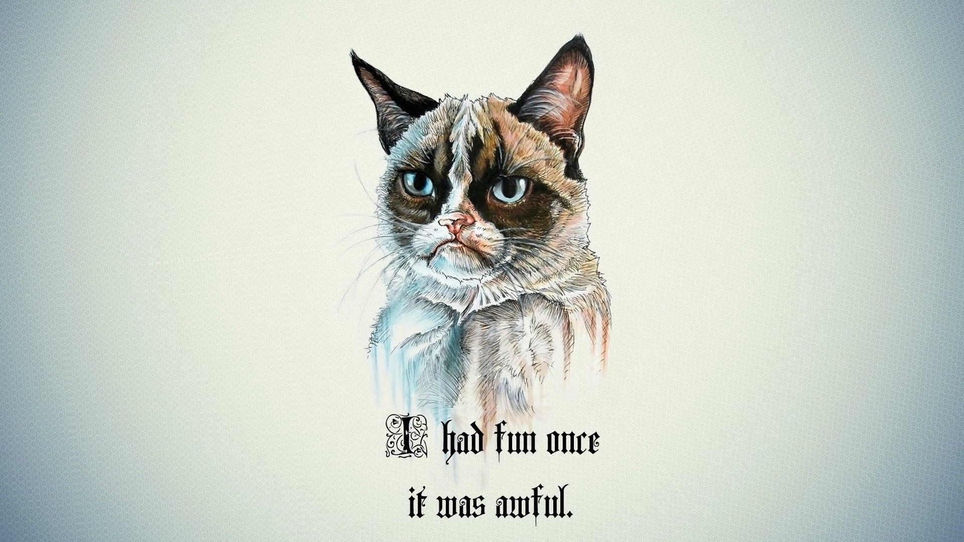 Sad Cat Meme Wallpapers - Wallpaper Cave