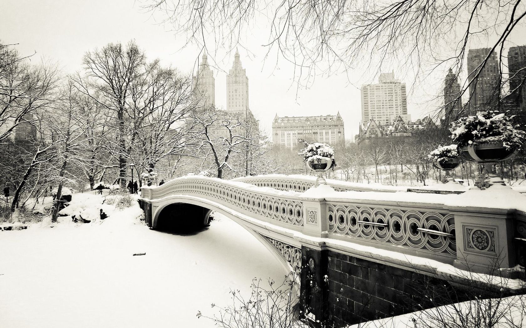 Central Park Winter Wallpaper