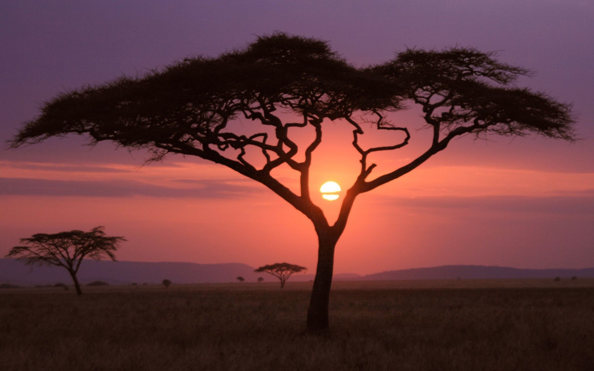 African Sunset Wallpaper in jpg format for free download