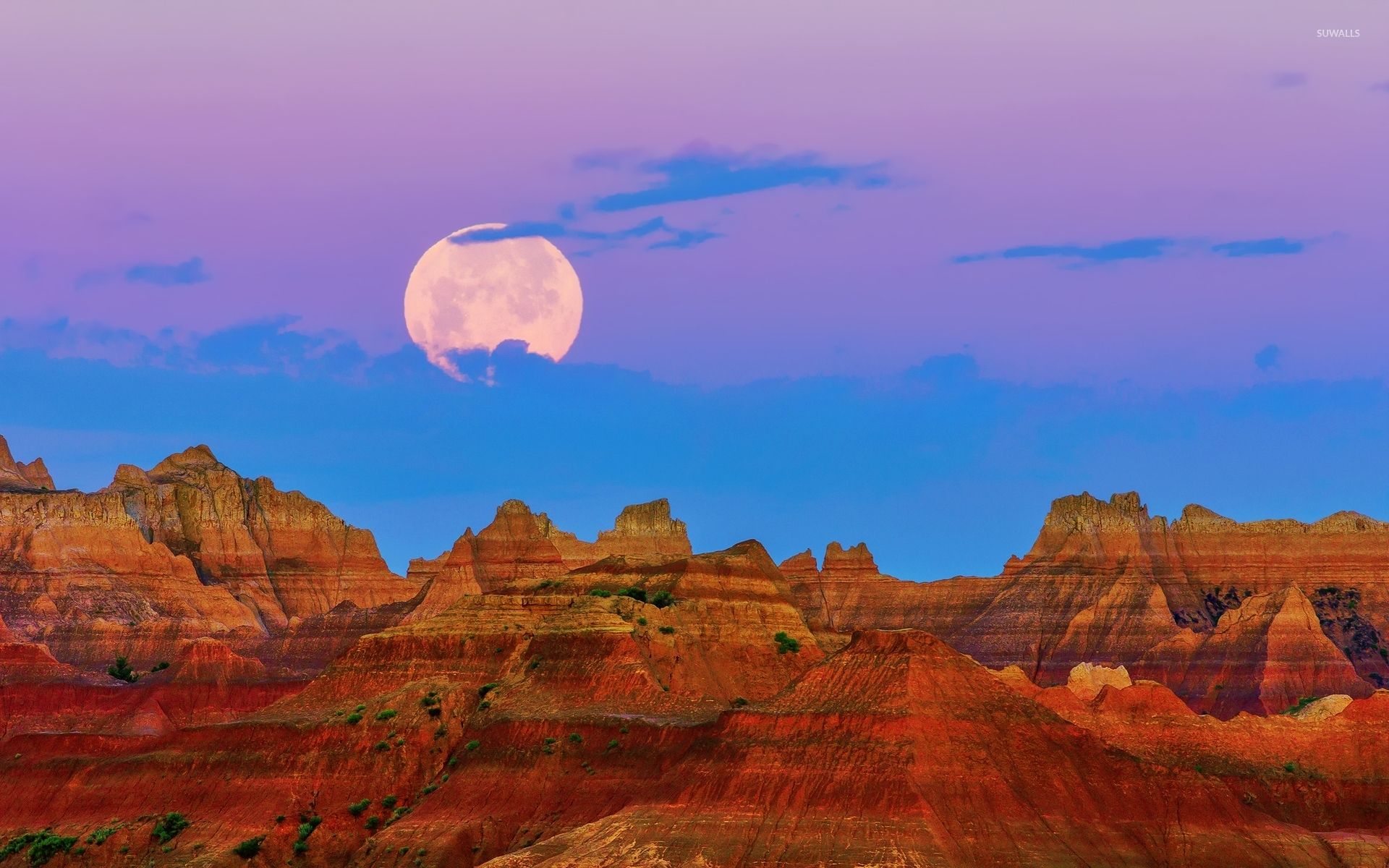 Full moon in the purple sky above the rusty canyon wallpaper wallpaper