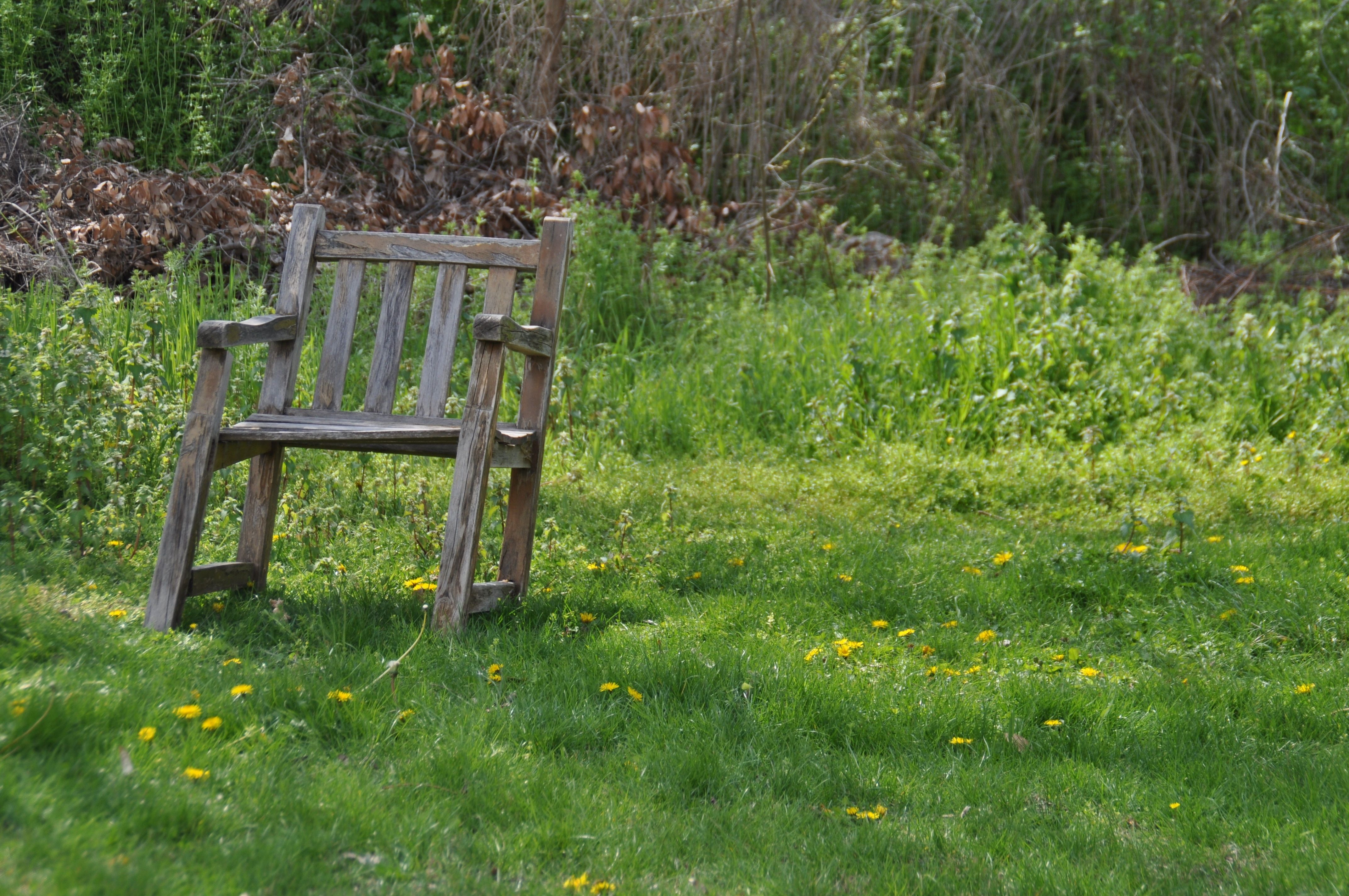Resting Place, Recovery, Seating Area, chair, outdoor chair free image