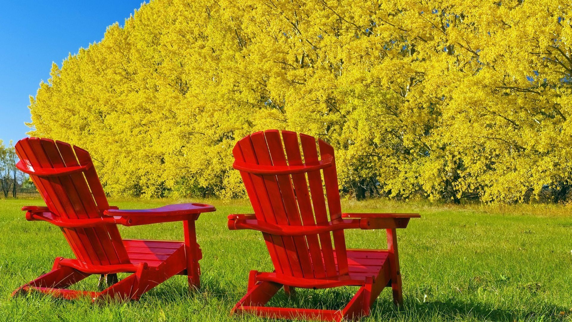 Photography Autumn Wallpaper Background 1920 X 1080: 438019 - Fall Picture, Red Chair, Chair