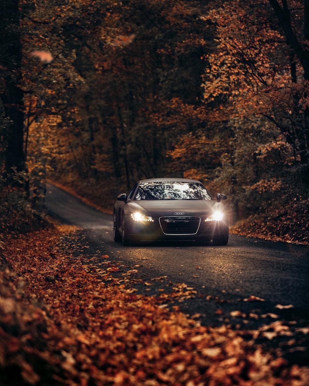 autumn audi. Audi cars, Car wallpaper, Car photography