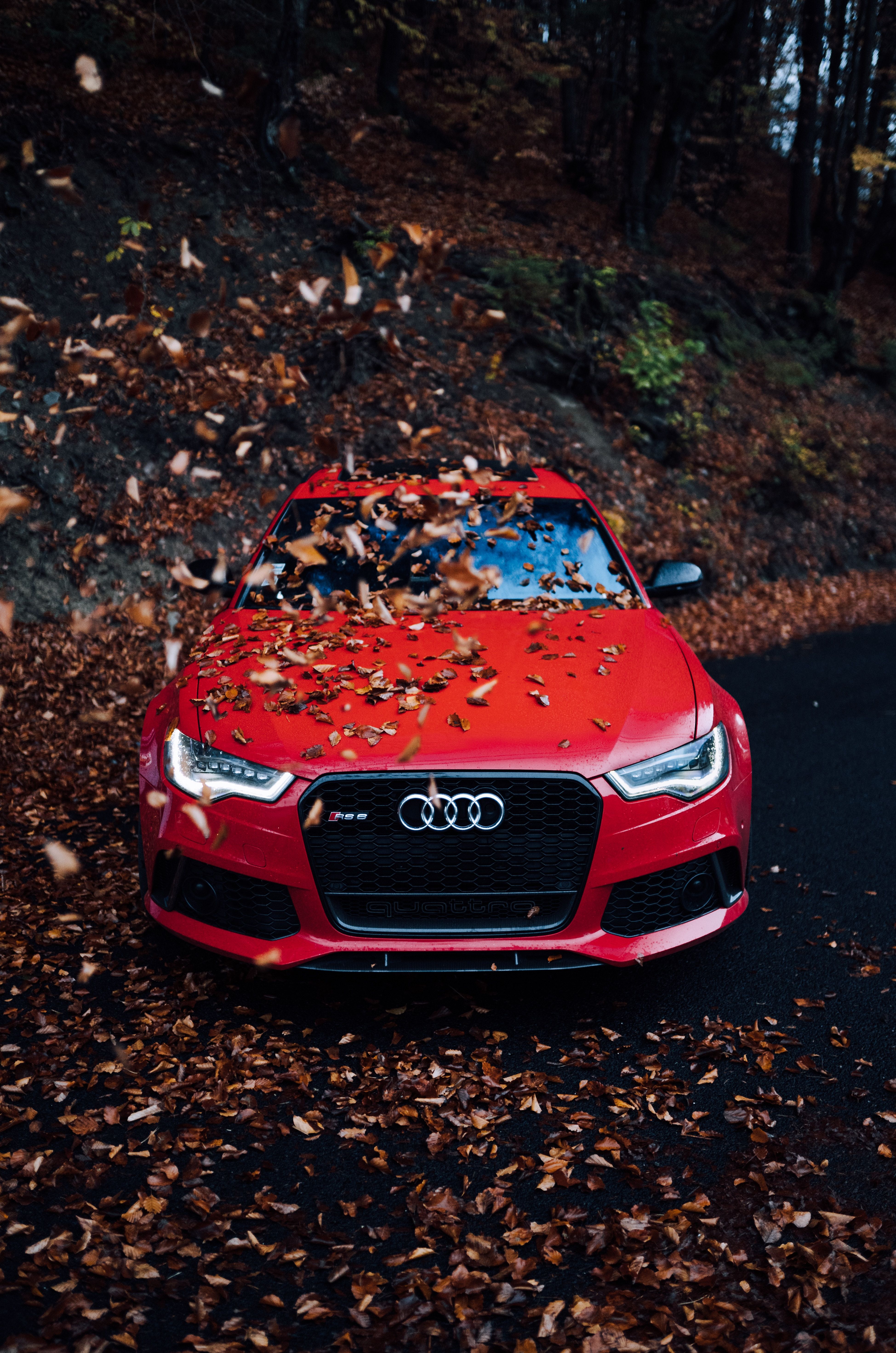 Download wallpaper 3898x5883 audi, car, front view, red, bumper, foliage, autumn HD background