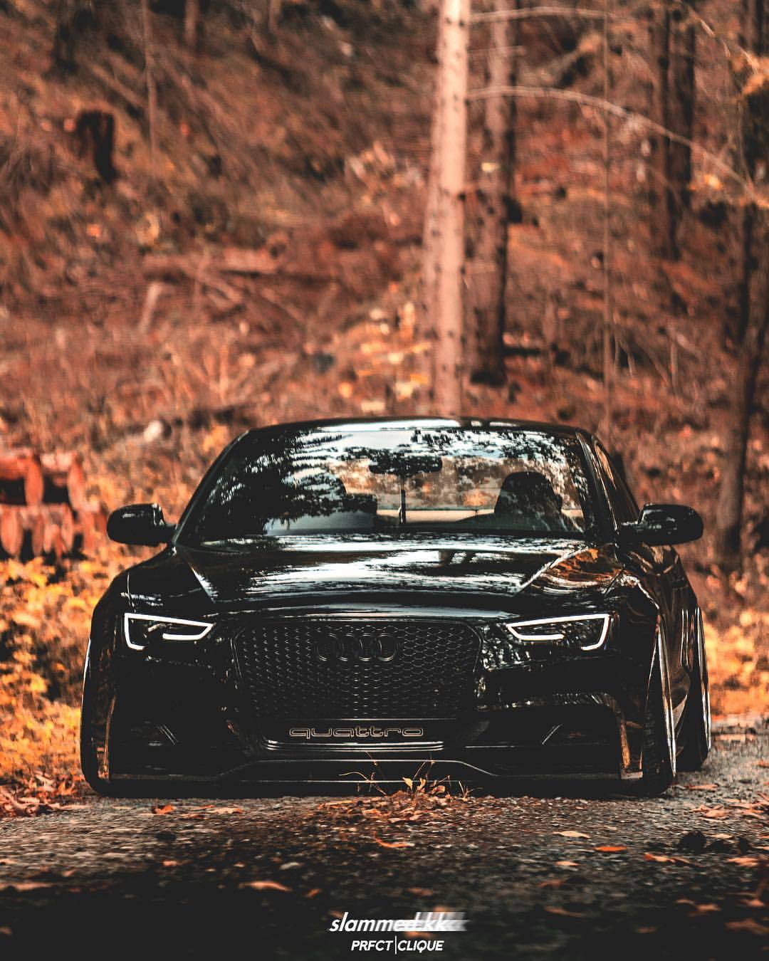 Audi Rs5 In Autumn