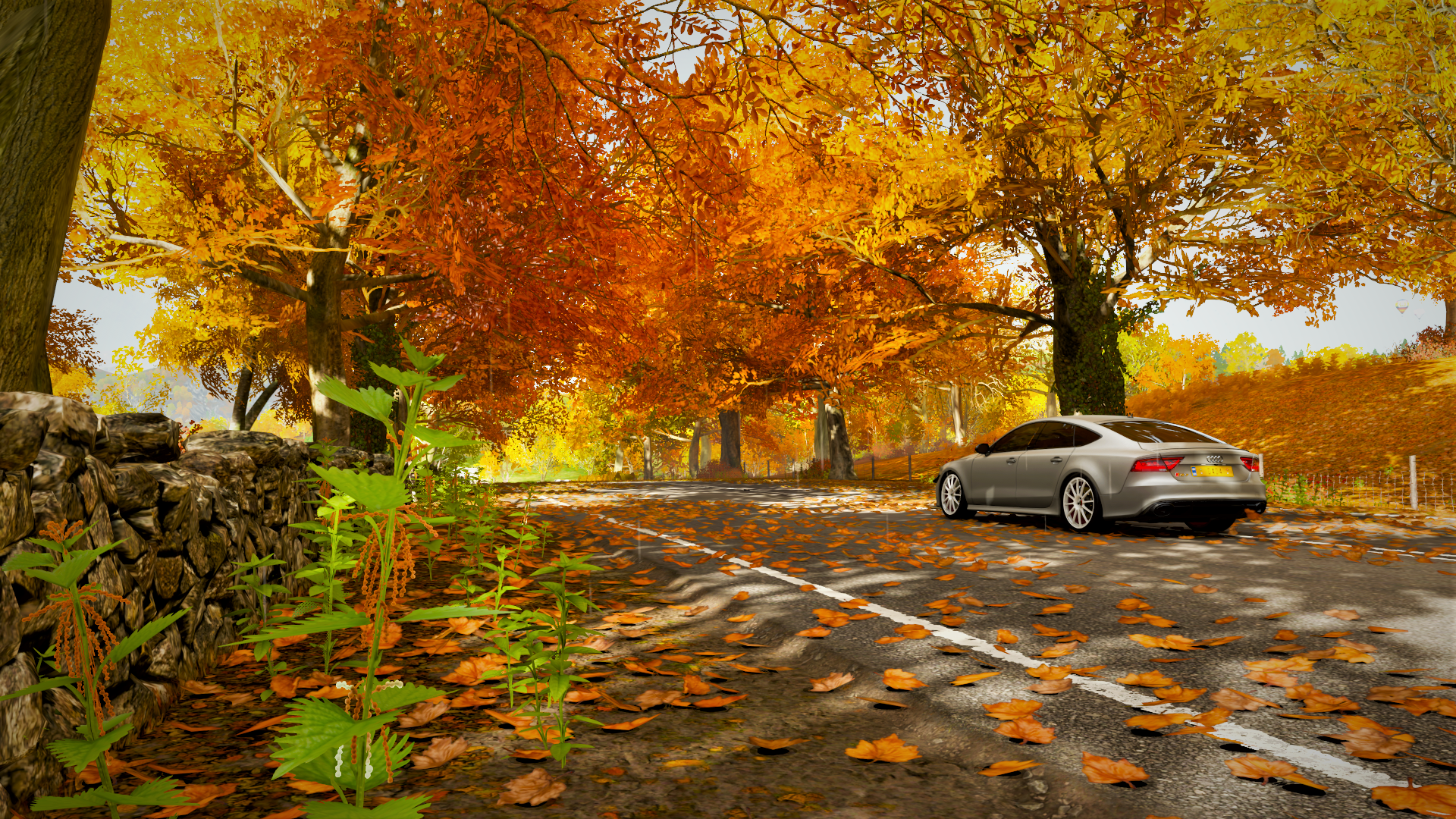 Car, Nature, Autumn [1920x1080]
