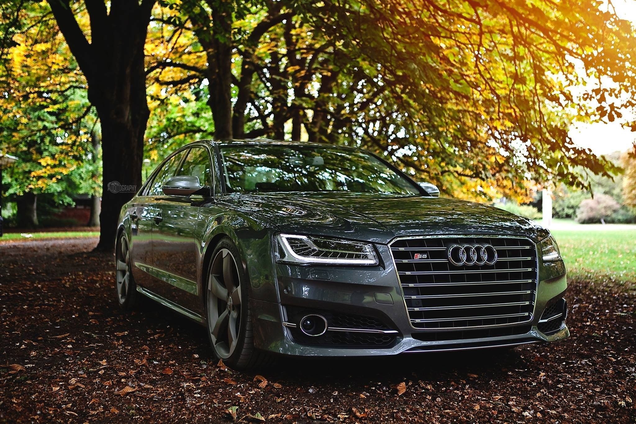 Wallpaper. Cars. photo. picture. Audi, car, autumn, beautiful