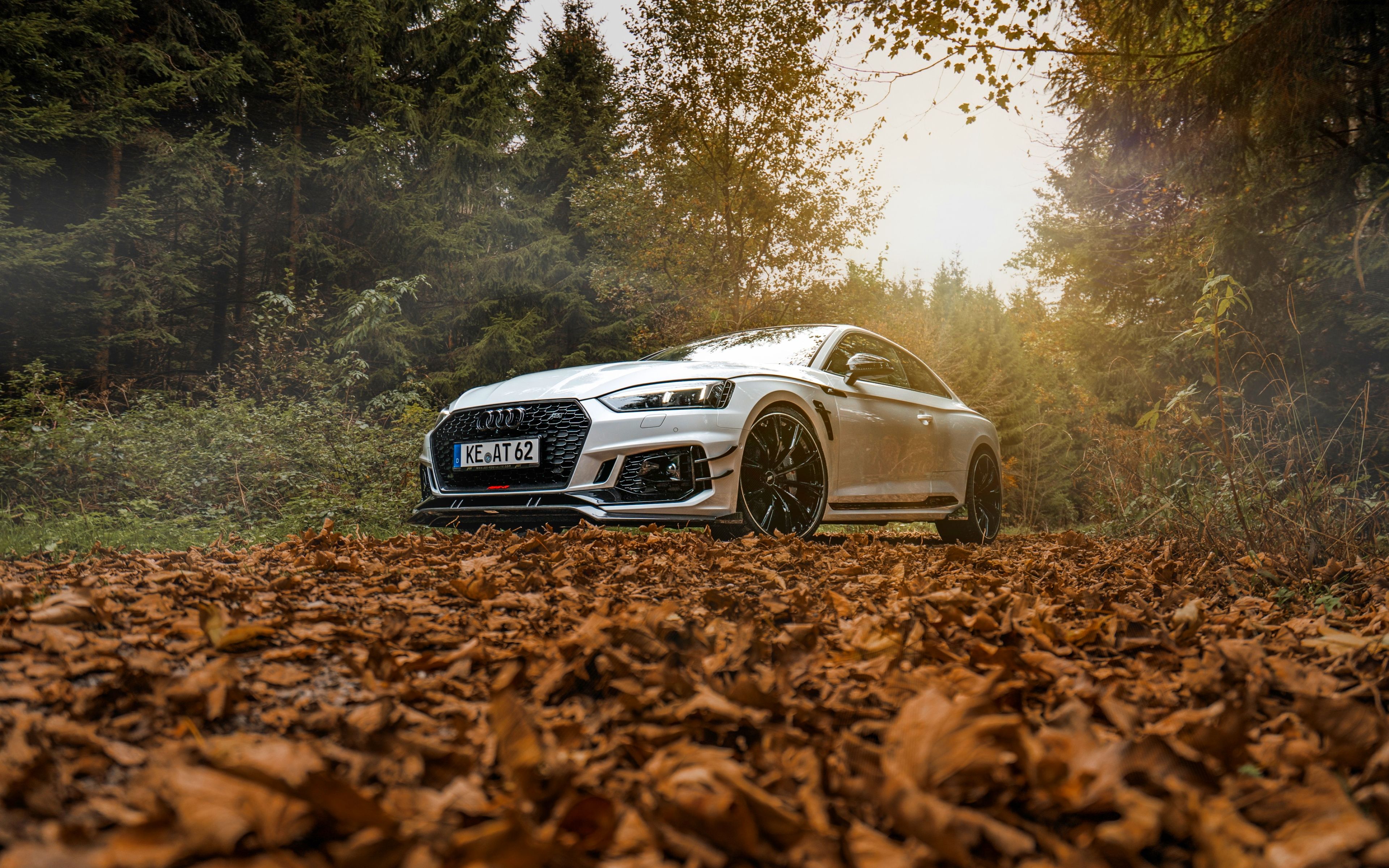 Audi Autumn Wallpapers - Wallpaper Cave