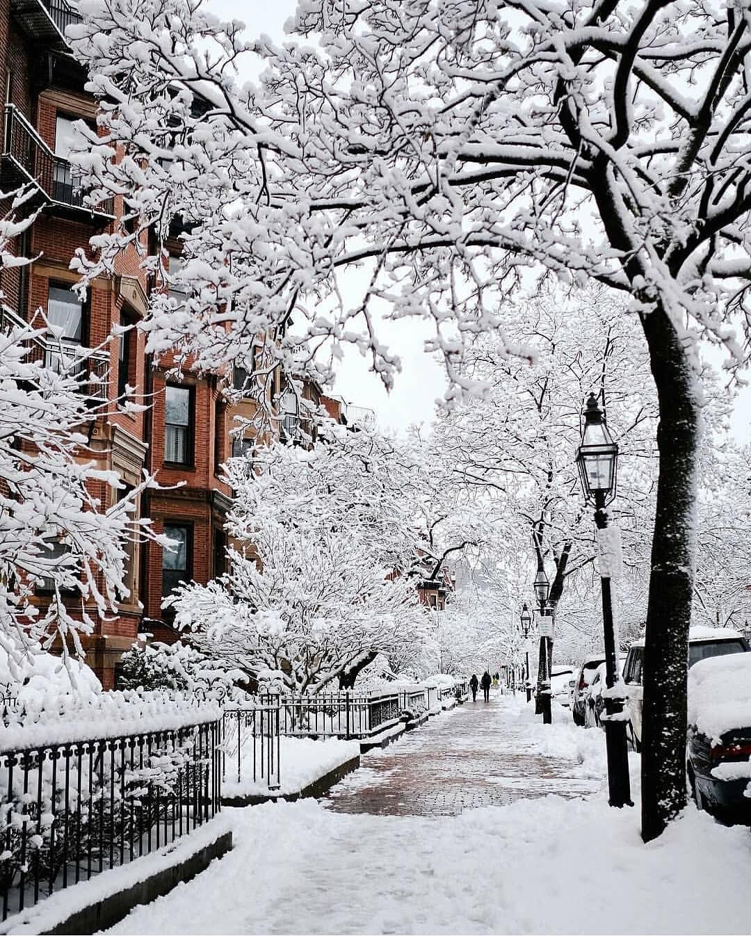 Winter portrait ❄️ Boston, Massachusetts, United States. Photo. Winter scenery, Winter wallpaper, Winter image